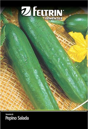 SEM PEPINO SALADA AODAI - BOX