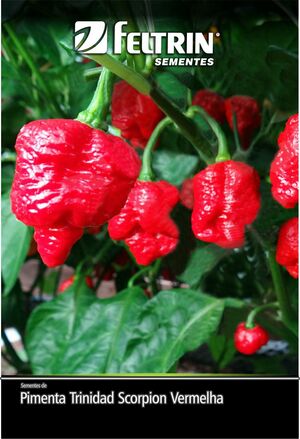 SEM PIMENTA COWBOY - BOX SOB ENCOMENDA