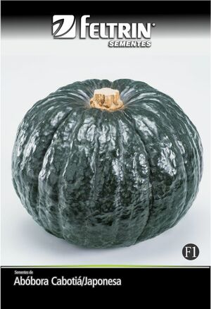 SEM ABOBORA CABOTIA HIROKO - BOX