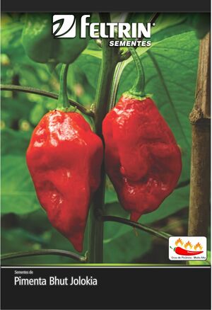 SEM PIMENTA CASCAVEL - BOX