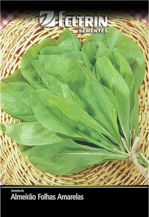 SEM ALMEIRAO FOLHAS AMARELAS (RADICHE TODO ANO) - BOX