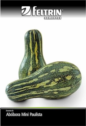 SEM ABOBORA MINI PAULISTA ISABELLA - BOX