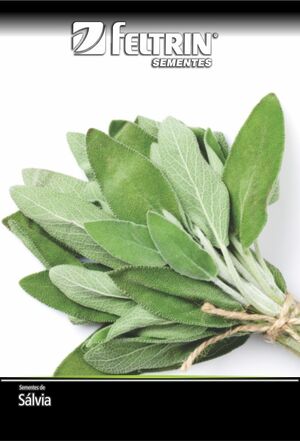 SEM SALVIA PARA TEMPERO DY 1X20