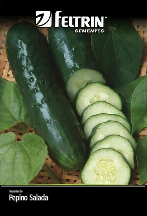 SEM PEPINO VERDE COMPRIDO DY 1X25