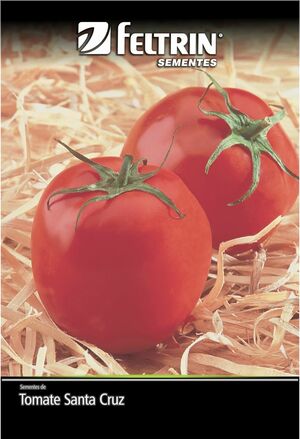 SEM TOMATE SANTA CRUZ KADA GIGANTE DY 1X25