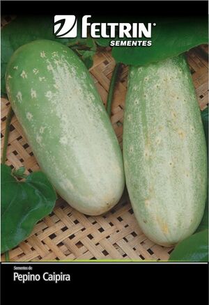 SEM PEPINO ESMERALDA TIPO CAIPIRA DY 1X25