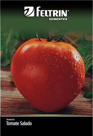 SEM TOMATE CORACAO DE BOI DY 1X10 ENV