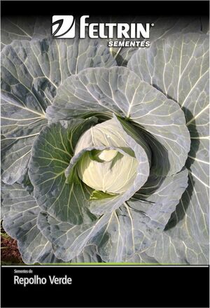 SEM REPOLHO CORACAO DE BOI GIGANTE - BOX