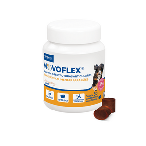 MOVOFLEX 6G