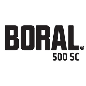 BORAL 500 SC 2X10 L