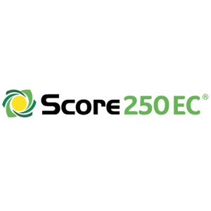 SCORE 250 EC 24X250 ML
