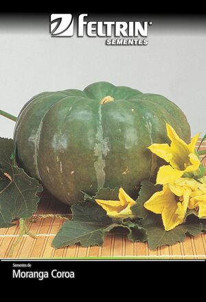 SEM MORANGA COROA - BOX