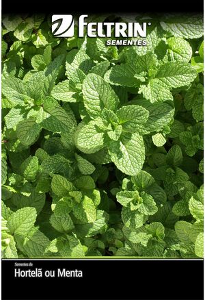 SEM HORTELA OU MENTA PIPERITA DY 1X20