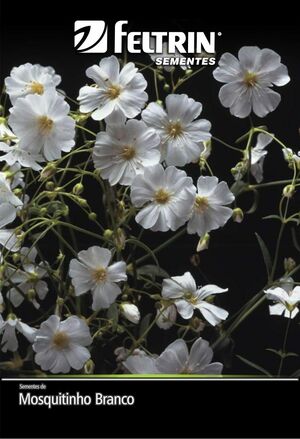 SEM FLOR MOSQUITINHO BRANCO - GOLDEN