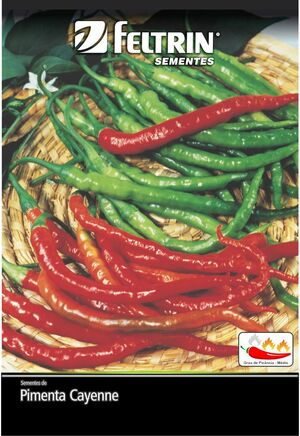 SEM PIMENTA CAYENNE LONG SLIM DY 10 ENV SOB ENCOMENDA