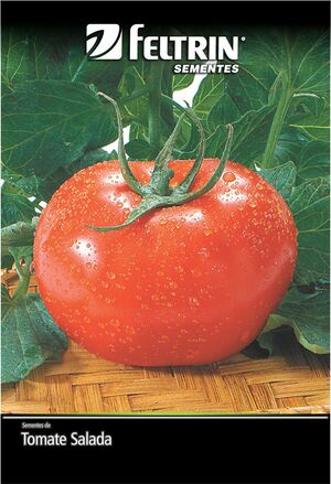SEM TOMATE GAUCHO MELHORADO NOVA S. DY 1X10 ENV