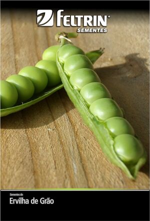 SEM ERVILHA ELOA - BOX