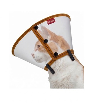COLAR ELIZABETANO PREMIUM GATOS P