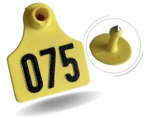 BRINCO NUMERADO AMARELO 101 A 125 MEDIO