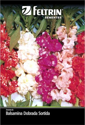 SEM FLOR BALSAMINA DOBRADA SORTIDA - GOLDEN