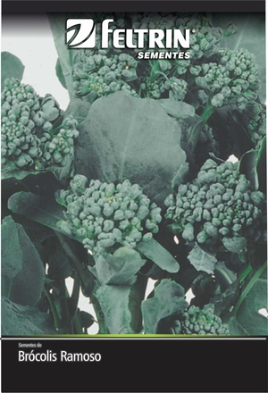 SEM BROCOLIS RAMOSO SANTANA - GOLDEN