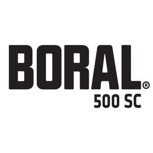 BORAL 500 SC 15X1 L