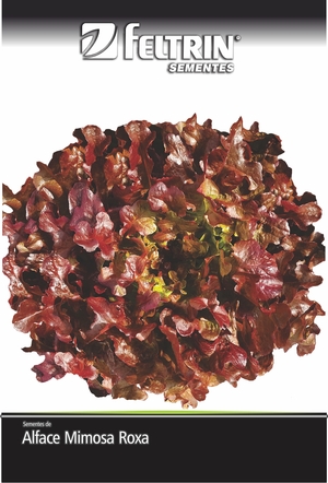 SEM ALFACE BETANIA - BOX