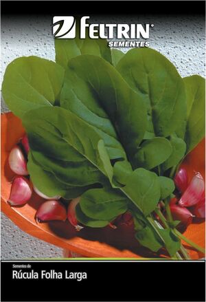 SEM RUCULA APRECIATTA FOLHA LARGA - BOX
